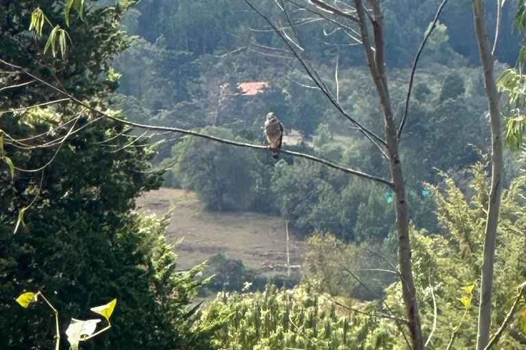 hospedaje en villa de leyva