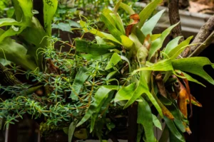 hotel en villa de leyva