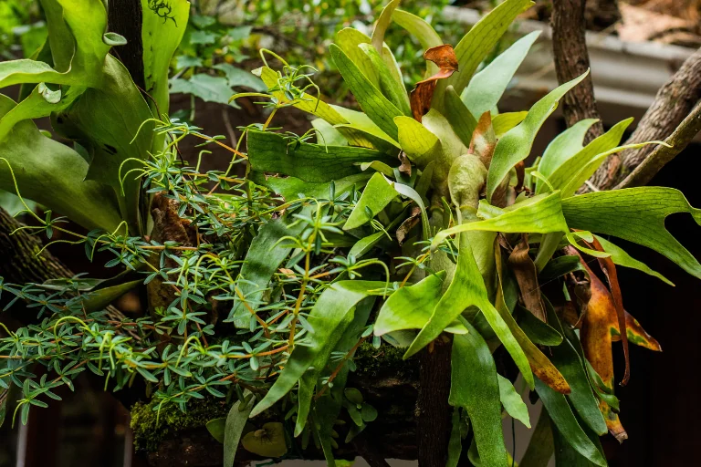 hotel en villa de leyva