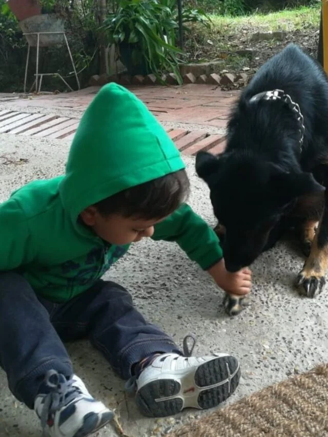 hoteles que acepten mascotas
